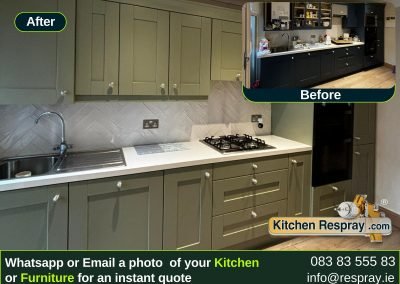 Kitchen Respray , Door Respray, Bath Respray , Kitchen Respray Lichen