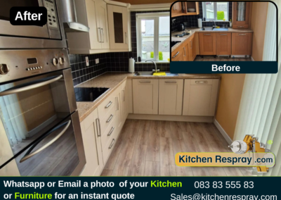 Expert Kitchen Respray and Door Redesign